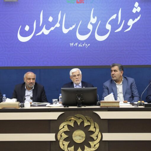 باید راهبرد عزت، منزلت و کرامت را در برخورد با سالمندان در جامعه دنبال کنیم
